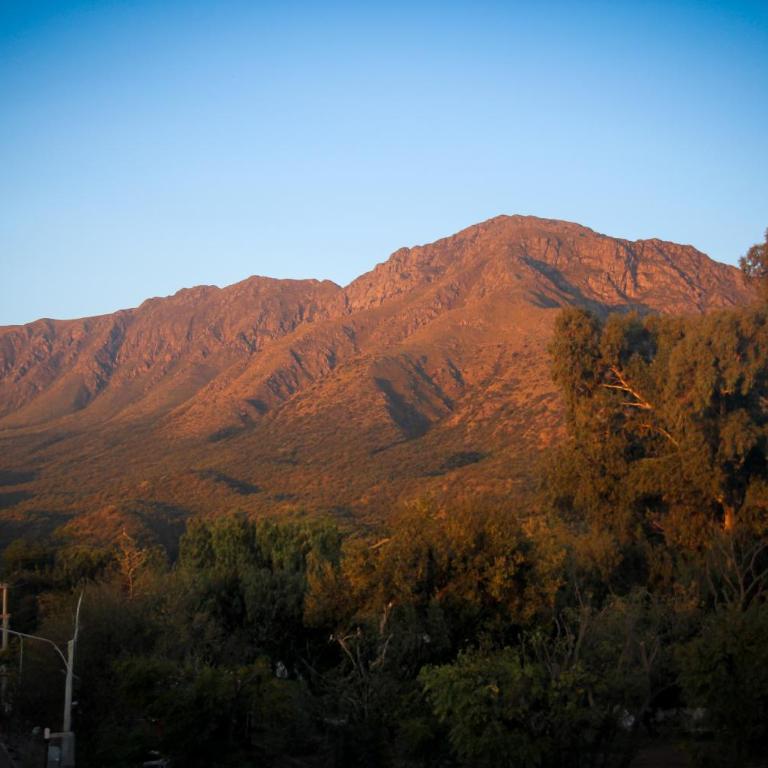 Hotel Aleph - Double Room with Mountain View - 4