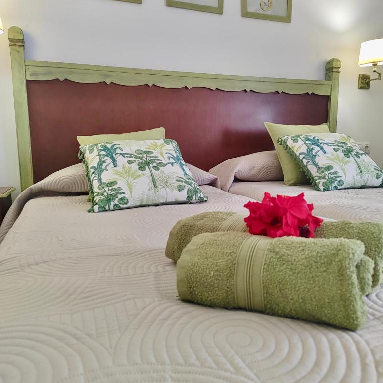 Tamarindo 63, dunes and sun - Apartment mit 1 Schlafzimmer - 1