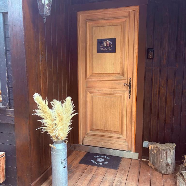 La Cabaña de Raoul y Ana - Combloux Centre - Appartement - 28