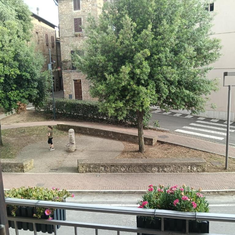 La terrazza del Papa - Appartamento con 2 Camere da Letto - 11