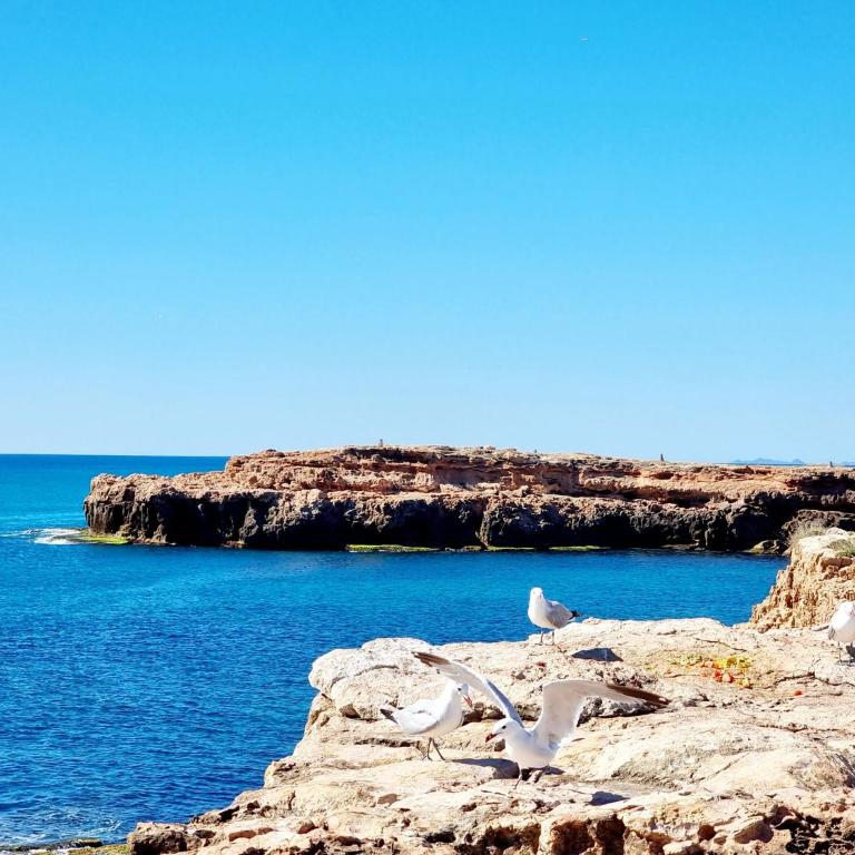 Lagoons Premium Apartment - Apartamento - 34