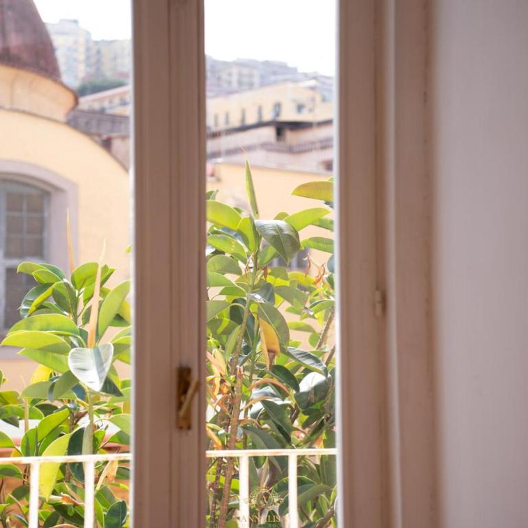 Annalisa luxury rooms - Camera Matrimoniale con Terrazza - 11