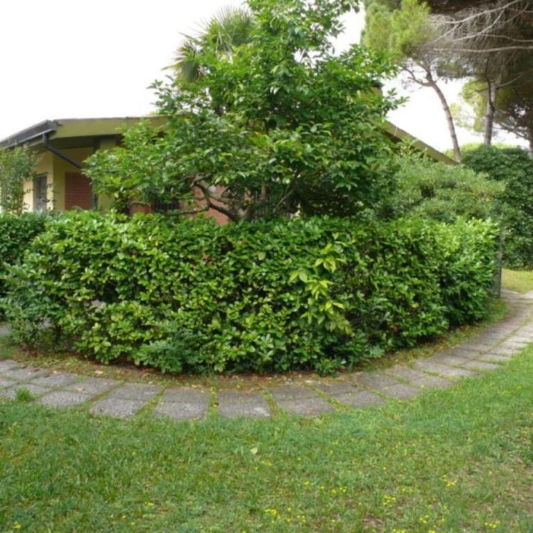 Charming villa with furnished patio in Lignano - Appartamento - 12