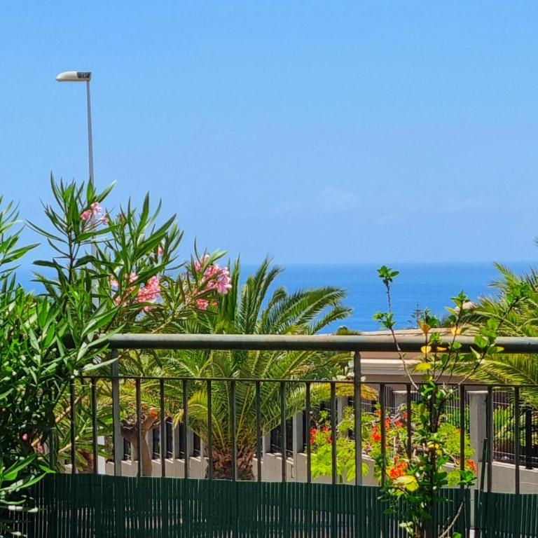 Spacious Apartment with Garden & Terrace - Apartment - Ground Floor - 9