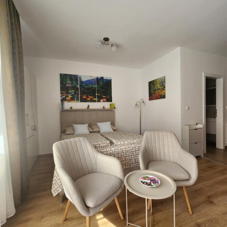 Studio apartman BERMET - Studio sa Balkonom - 4