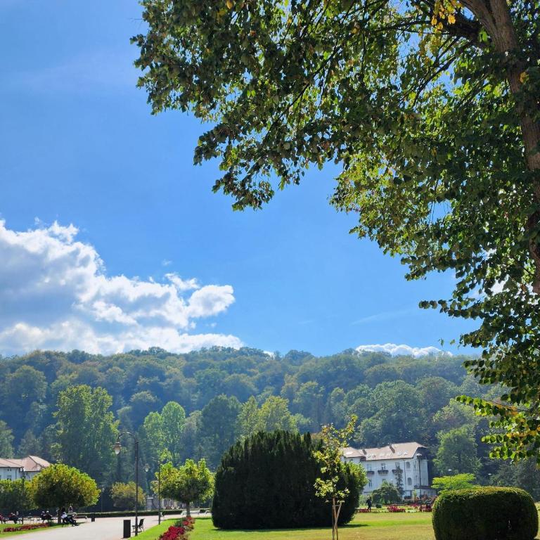 Studio apartman BERMET - Studio sa Balkonom - 18