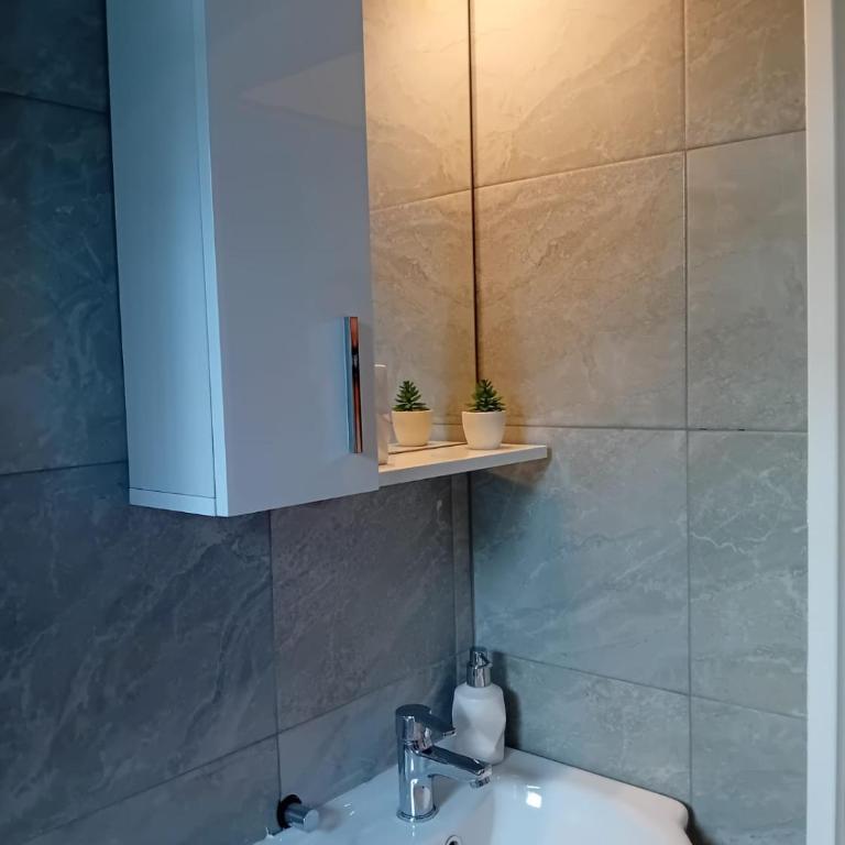 Dino Sarajevo Retreat - self check in - Apartman sa 1 Spavaćom Sobom - 15