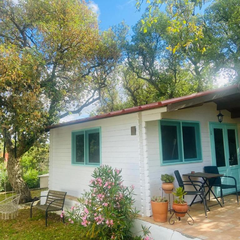 Casita Louisa - Maison 1 Chambre - 21