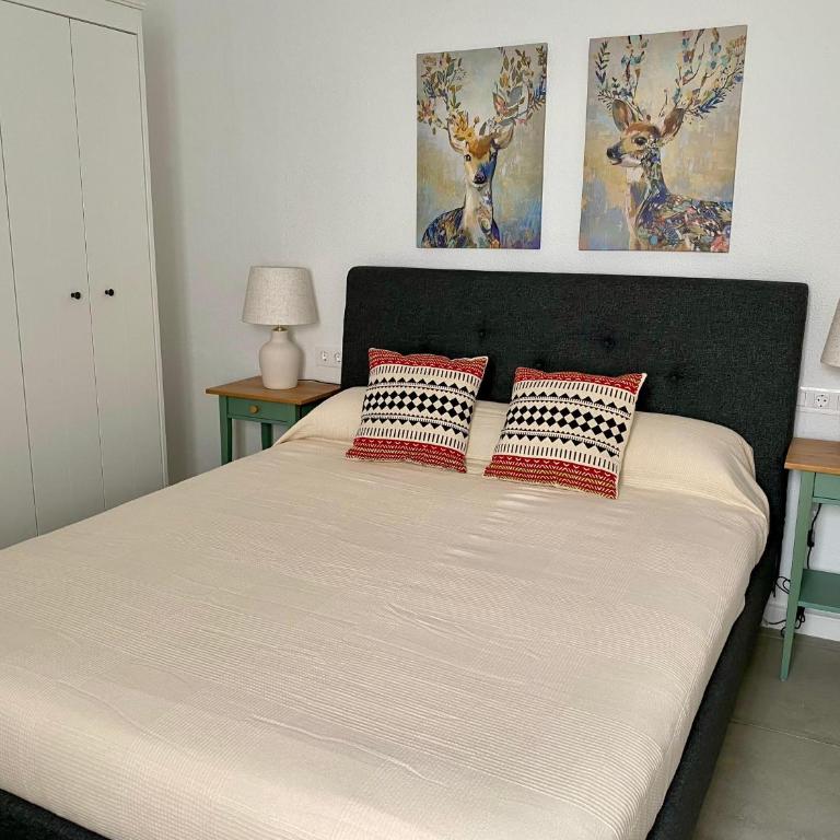 Apartamento Luz de Conil AIRE ACONCIONADO Y WIFI -SOLO FAMILIAS O PAREJA- NO ACEPTAMOS GRUPOS- - Apartamento de 2 dormitorios - 5