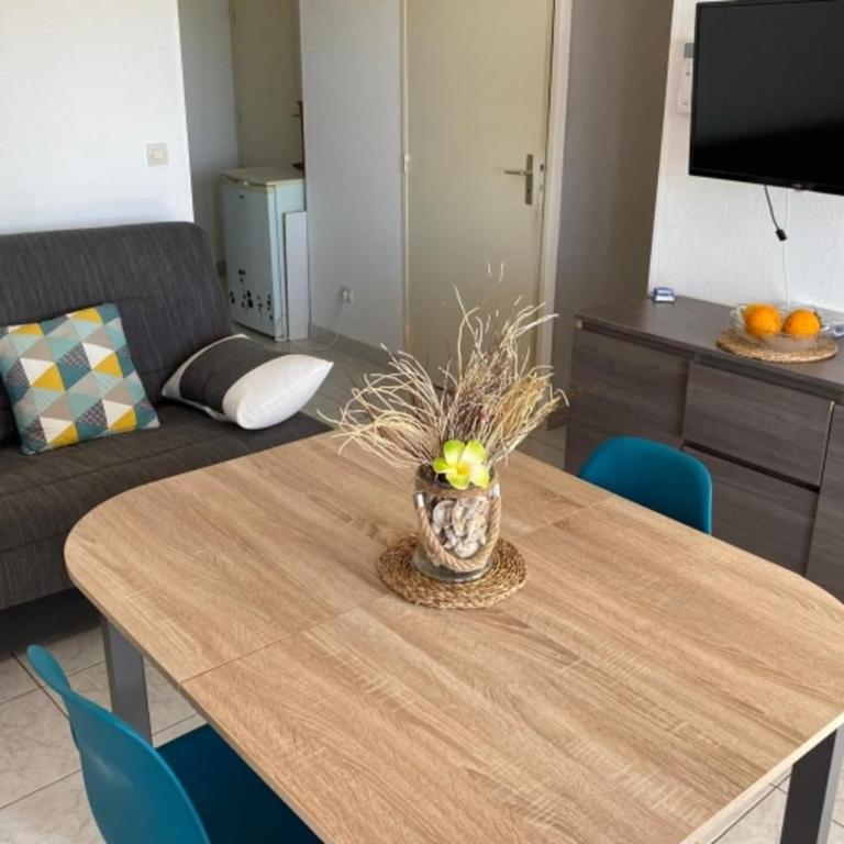 confort et vue imprenable sur mer et étang - Appartement - 13
