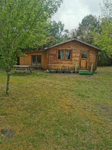 Chalet à Biscarrosse - Chalet 1 Chambre - 5