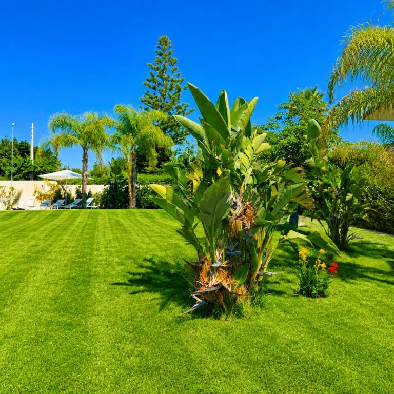 SHATI LUXURY - Private Heated Pool- steps from beach - Appartamento con 2 Camere da Letto e con Piscina Privata - 20