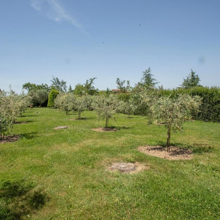 Cortona - Il Torchio - Appartamento con 2 Camere da Letto - 35