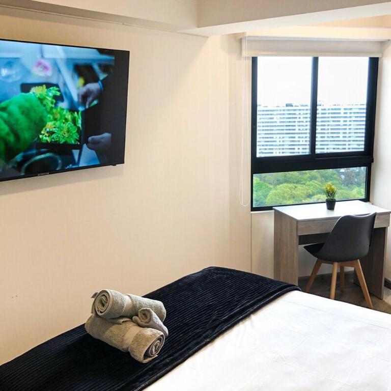 Exclusive Apt with balcony and street view - 1905 - One-Bedroom Apartment - 19