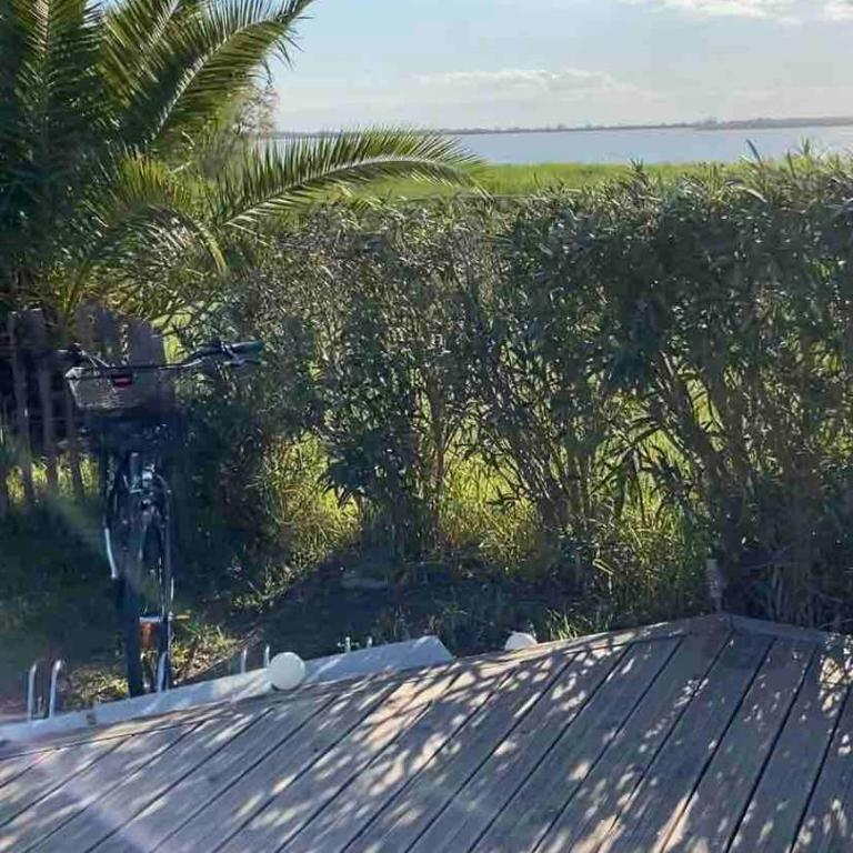 Charmant duplex au coeur de la camargue - Appartamento con 1 Camera da Letto - 7