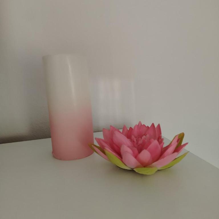Delta 10 - Apartman sa 1 Spavaćom Sobom - 7