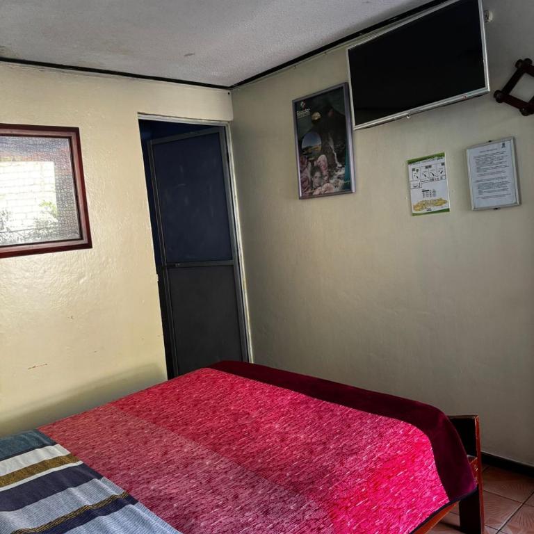Transilvania - Double Room with Private Bathroom - 24