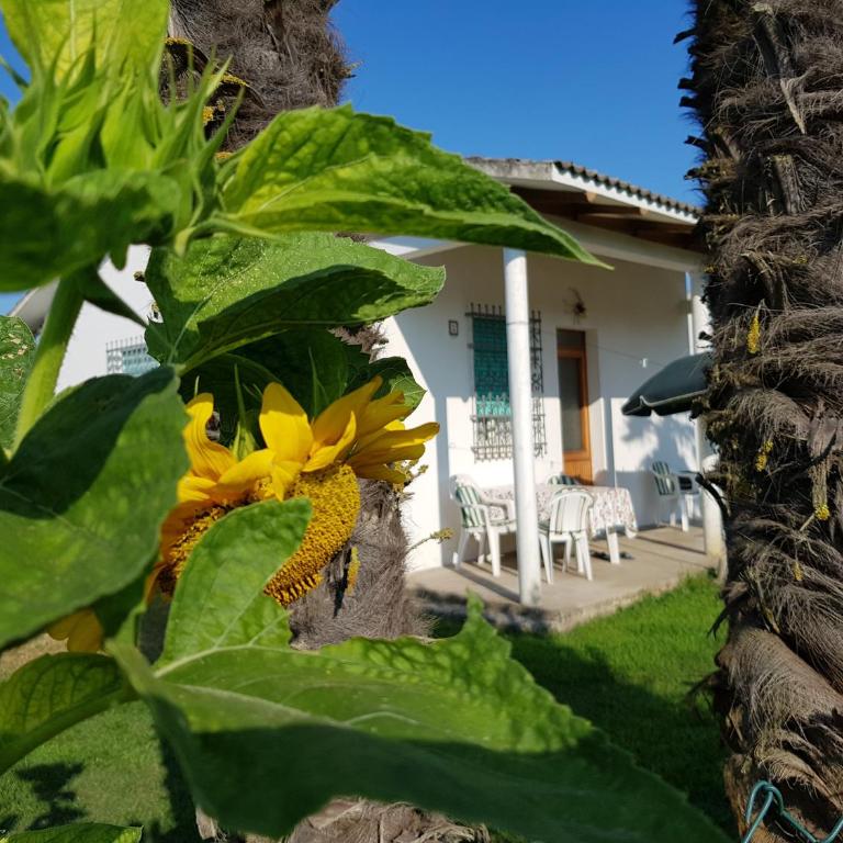 Bungalow bei Emma - Casa con 2 Camere da Letto - 1
