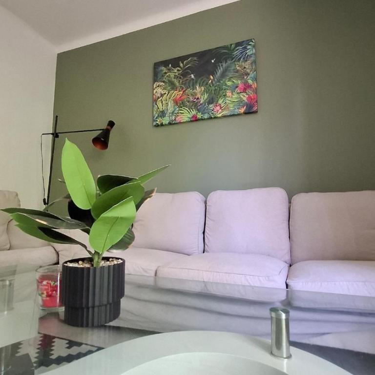 Bel Appartement et Parking - Apartamento de 1 dormitorio - 3