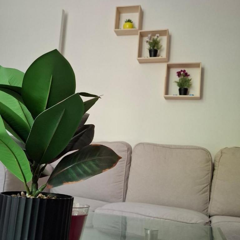 Bel Appartement et Parking - Apartamento de 1 dormitorio - 9