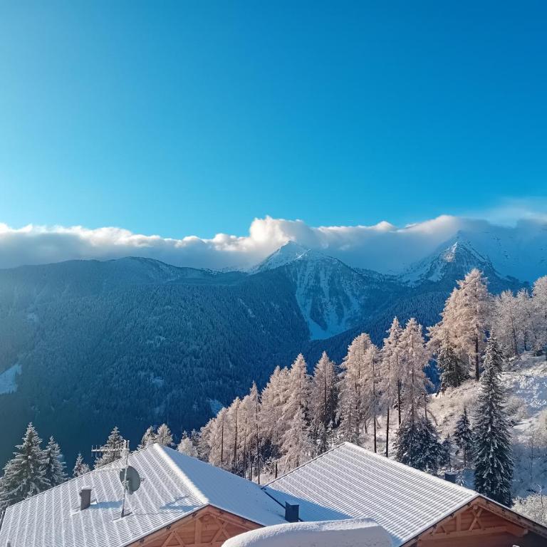 Niederhaushof - Chalet mit 2 Schlafzimmern - 29