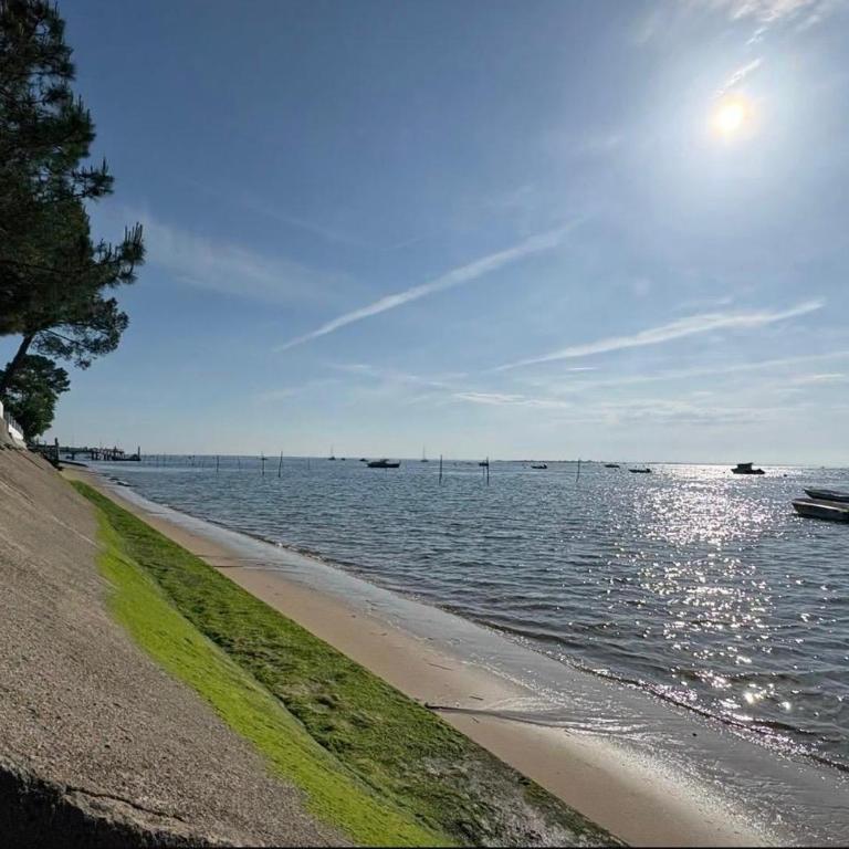 Charmante Maison Cap-Ferret - Village du Canon - Proximité immédiate de la plage - Villa - 20