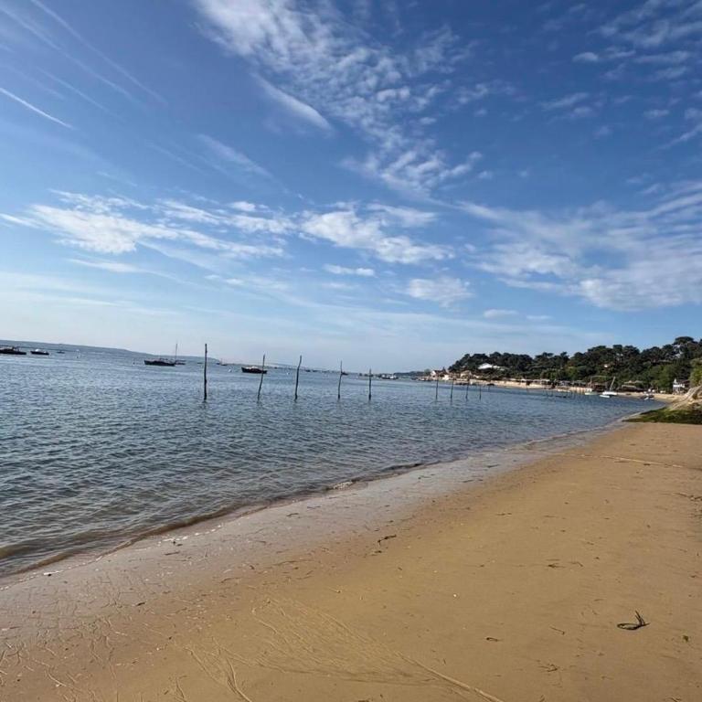 Charmante Maison Cap-Ferret - Village du Canon - Proximité immédiate de la plage - Villa - 21