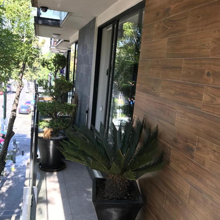 The Nest CDMX Comfort and Great Location - Three-Bedroom Apartment - 35