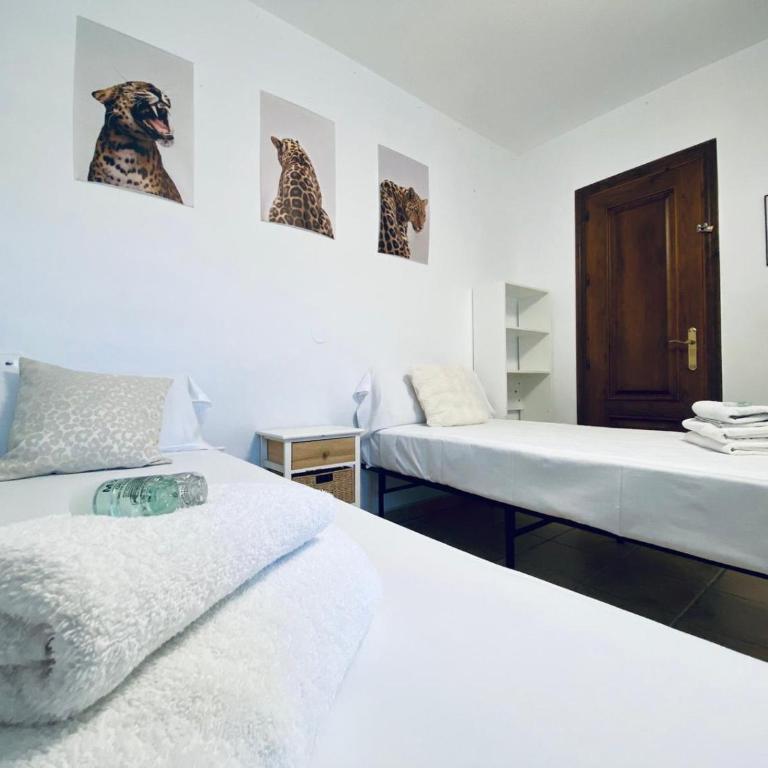 Estepona Center Retreat - Three-Bedroom Apartment - 15