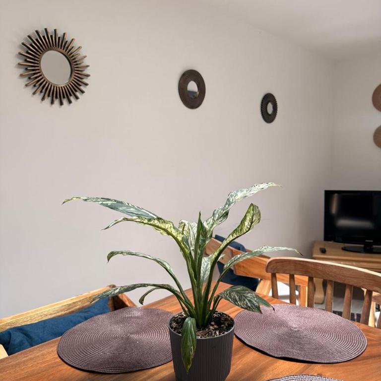 Casa Victoria ApartaHotel - Two-Bedroom Apartment with View - 4