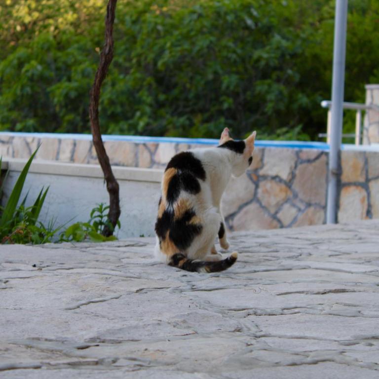 Stone Oasis House Mostar - With Panoramic City View - Vila sa Sopstvenim Bazenom - 17