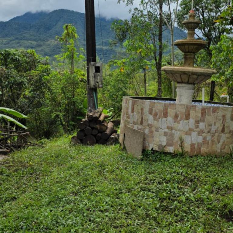 Finca Agroturistica Bellavista - Six-Bedroom House - 3