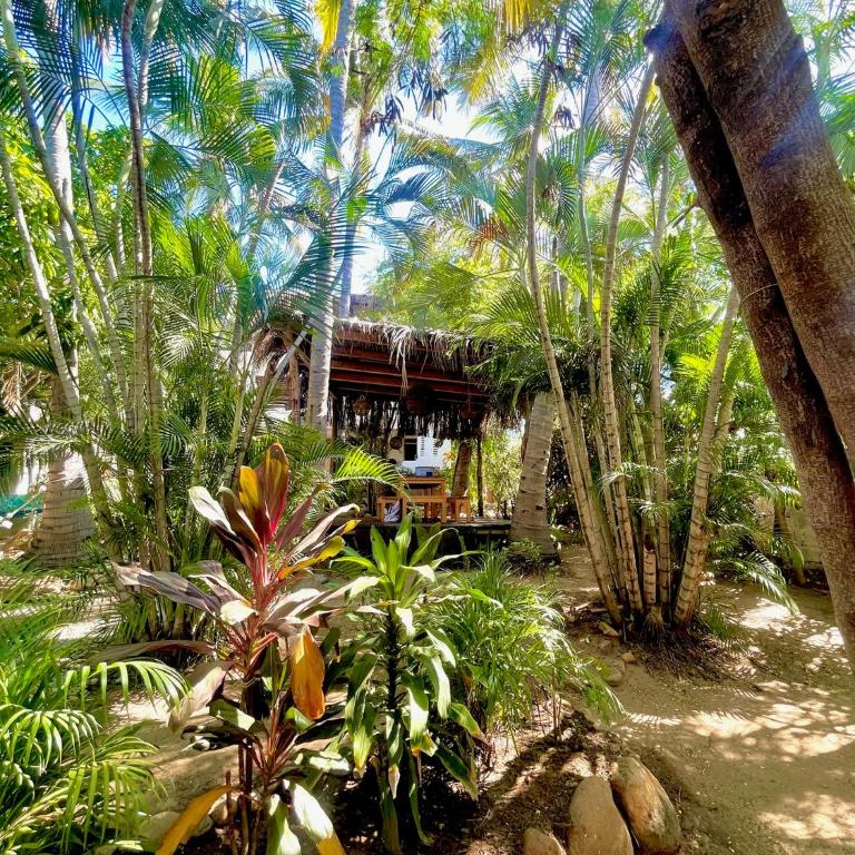 El Eden Escondido - Deluxe Doppelzimmer mit 2 Doppelbetten - 1
