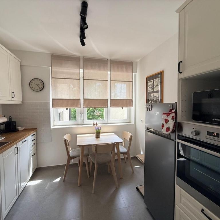 The Vracar Nest - One-Bedroom Apartment - 1