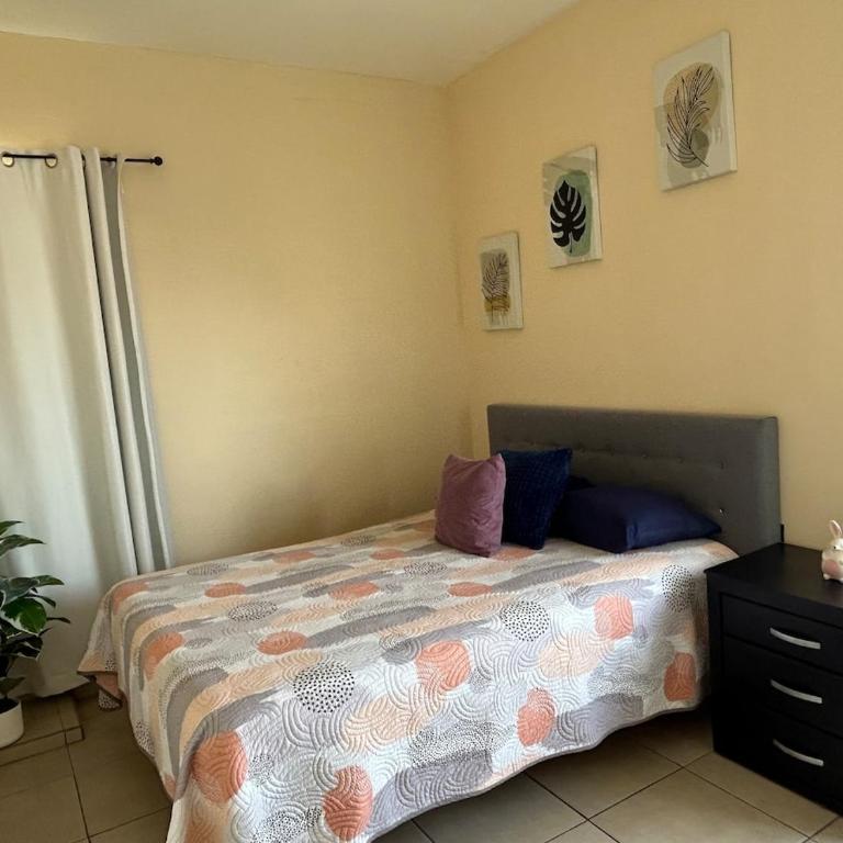 Estudio #5 a 5 min del malecon - One-Bedroom Apartment - 24