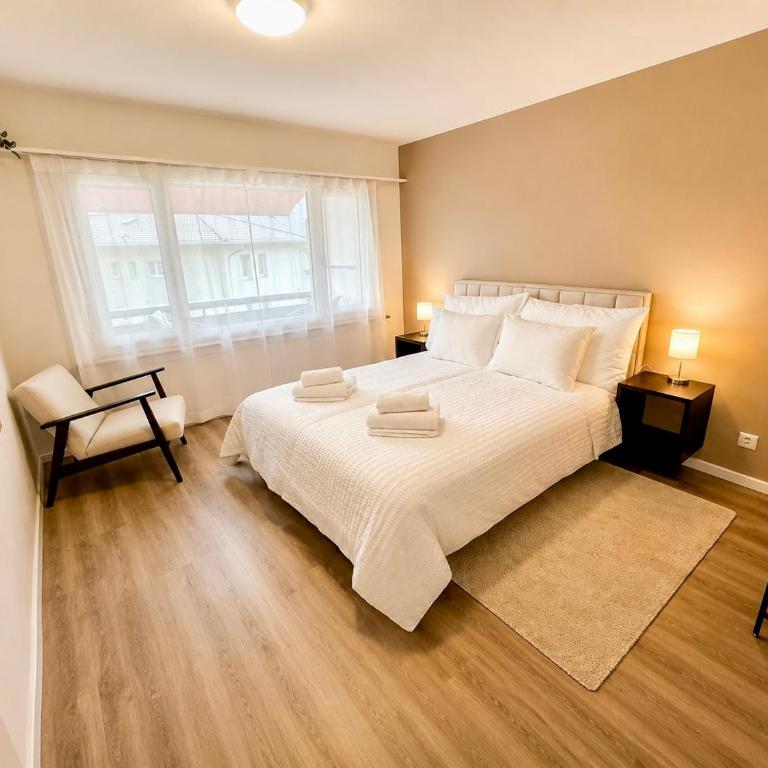 3Br Panorama Mountain View Interlaken - Apartment - 14