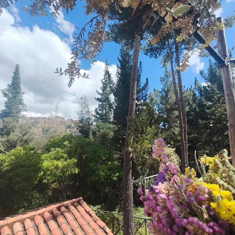 Cusco Forest Gem, 1 Min to Sacsayhuamán, Near the Main Square - One-Bedroom Chalet - 4