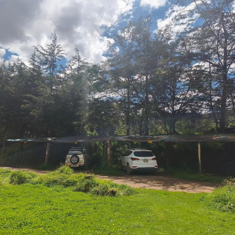 Cusco Forest Gem, 1 Min to Sacsayhuamán, Near the Main Square - One-Bedroom Chalet - 45
