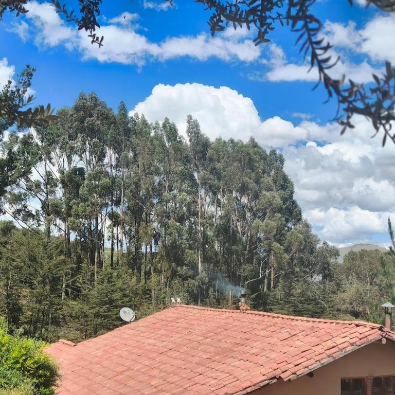 Cusco Forest Gem, 1 Min to Sacsayhuamán, Near the Main Square - One-Bedroom Chalet - 47