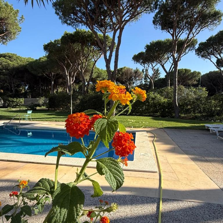 La Fundación de la Luz - 2 casas Piscina & Barbacoa privada Playa a 9 min - Casa con 3 Camere da Letto - 27
