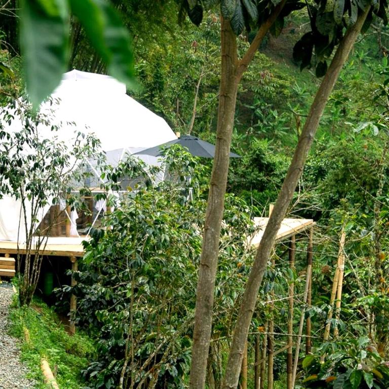 Takaru hoteles - Tent - 3