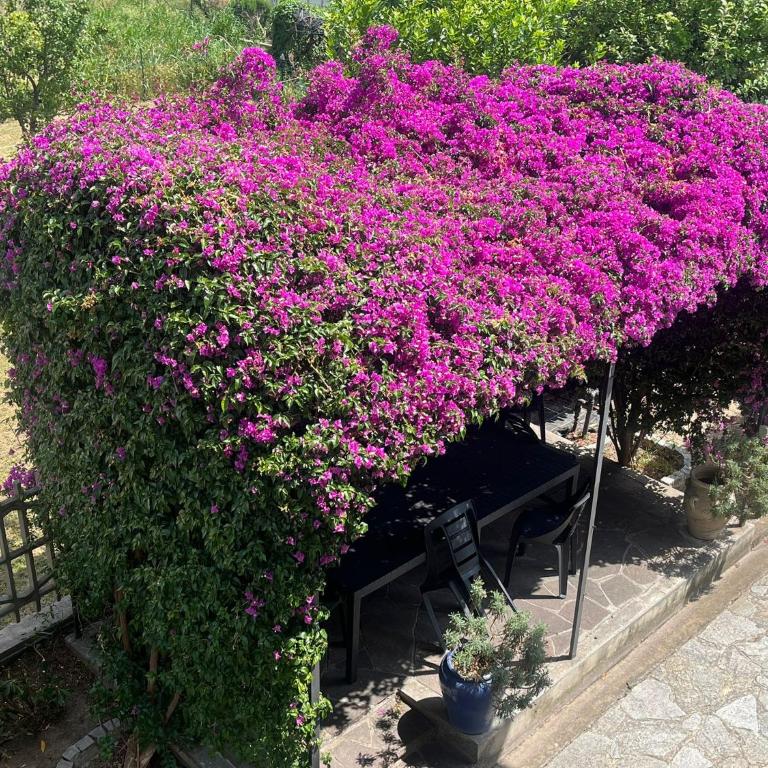 Casa Rosella - Casa Vacanze con 4 Camere da Letto - 38