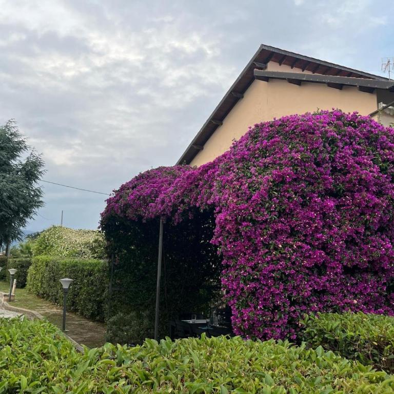 Casa Rosella - Casa Vacanze con 4 Camere da Letto - 41