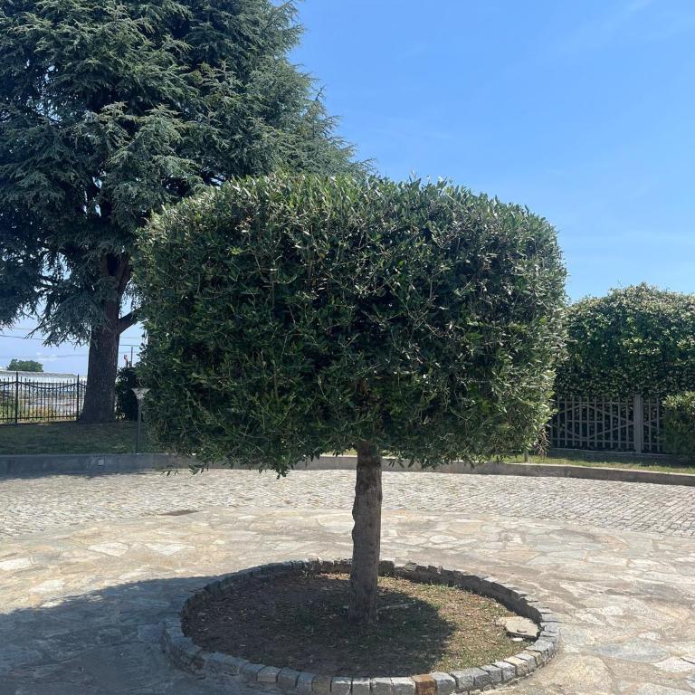 Casa Rosella - Casa Vacanze con 4 Camere da Letto - 36
