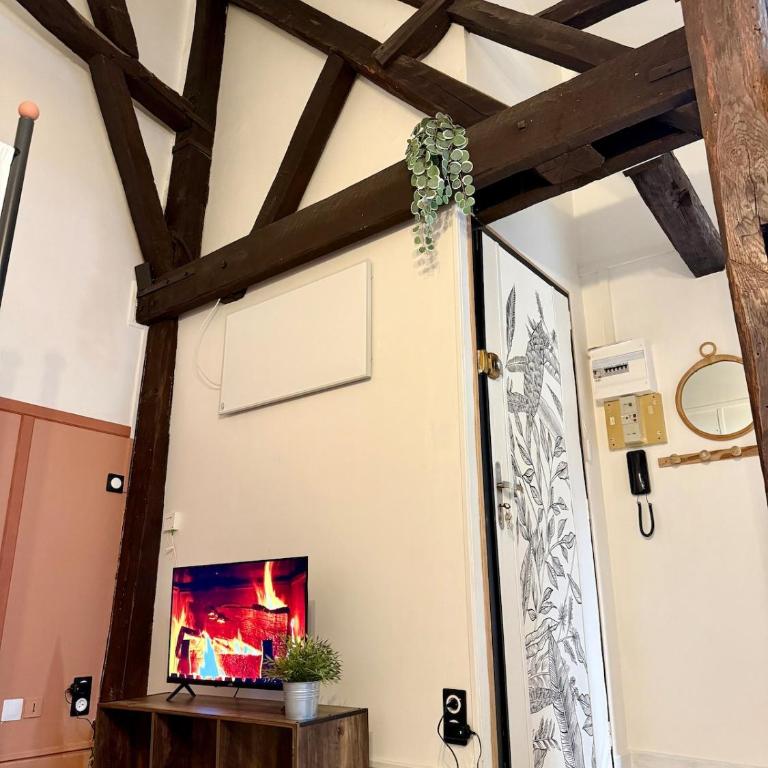 Le Rosalia - WiFi - Hyper centre - Appartement 1 Chambre - 6