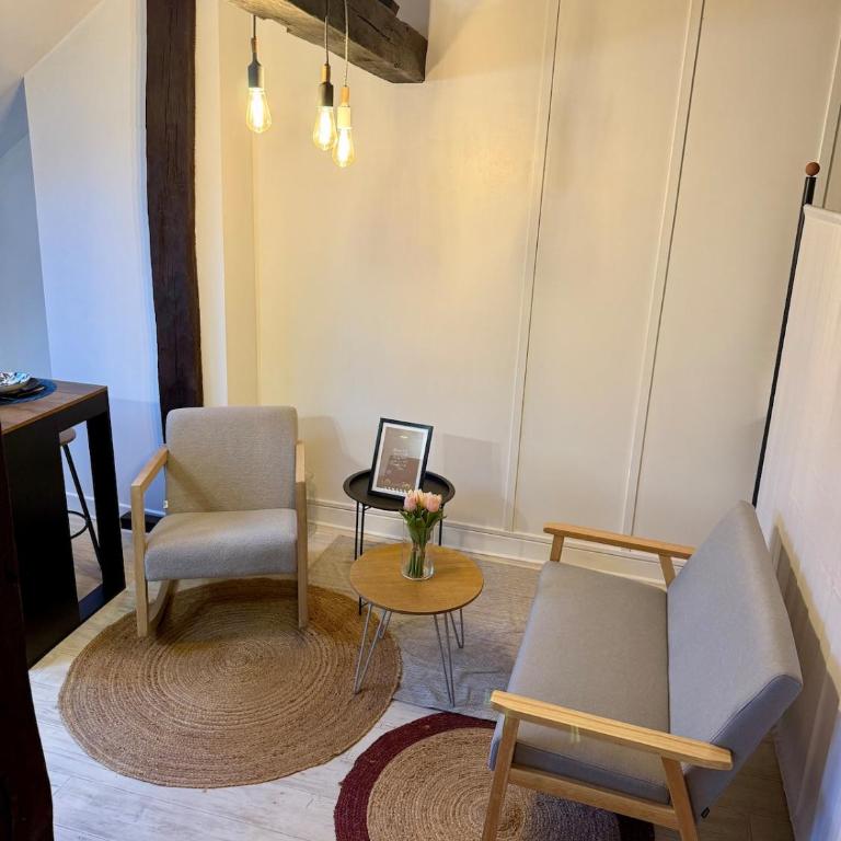 Le Rosalia - WiFi - Hyper centre - Appartement 1 Chambre - 12