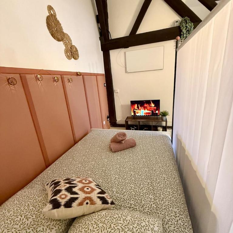 Le Rosalia - WiFi - Hyper centre - Appartement 1 Chambre - 13