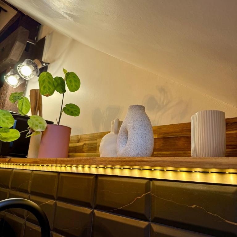 Le Rosalia - WiFi - Hyper centre - Appartement 1 Chambre - 14