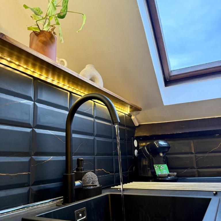 Le Rosalia - WiFi - Hyper centre - Appartement 1 Chambre - 25