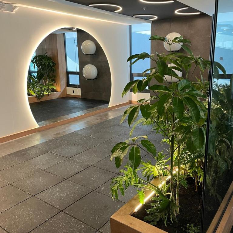 Suite de lujo , con cancha de pádel , sauna , hidromasaje , vista 360 - Apartamento de 1 dormitorio - 36